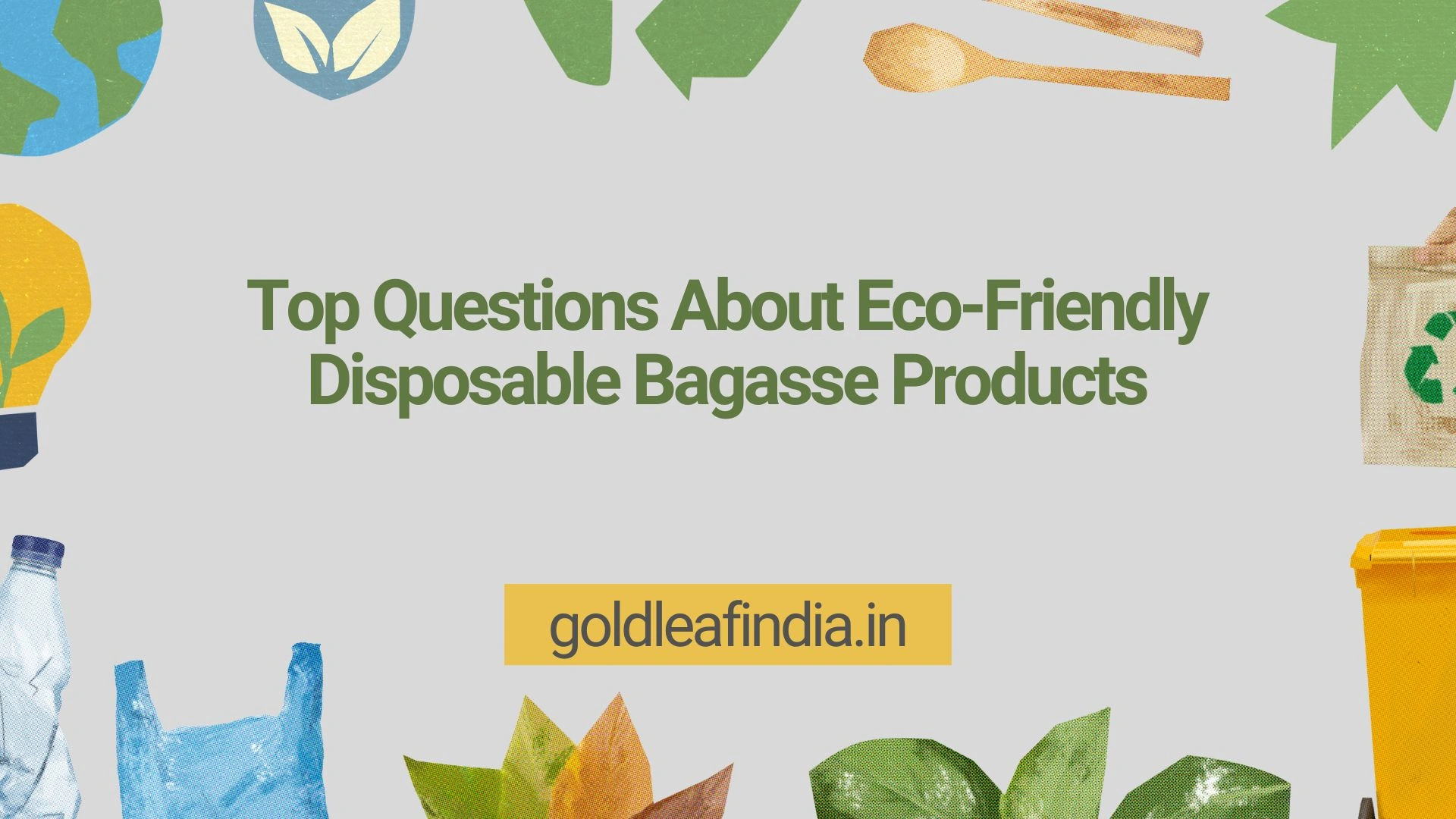 Top Questions About Eco-friendly Disposable Bagasse Products