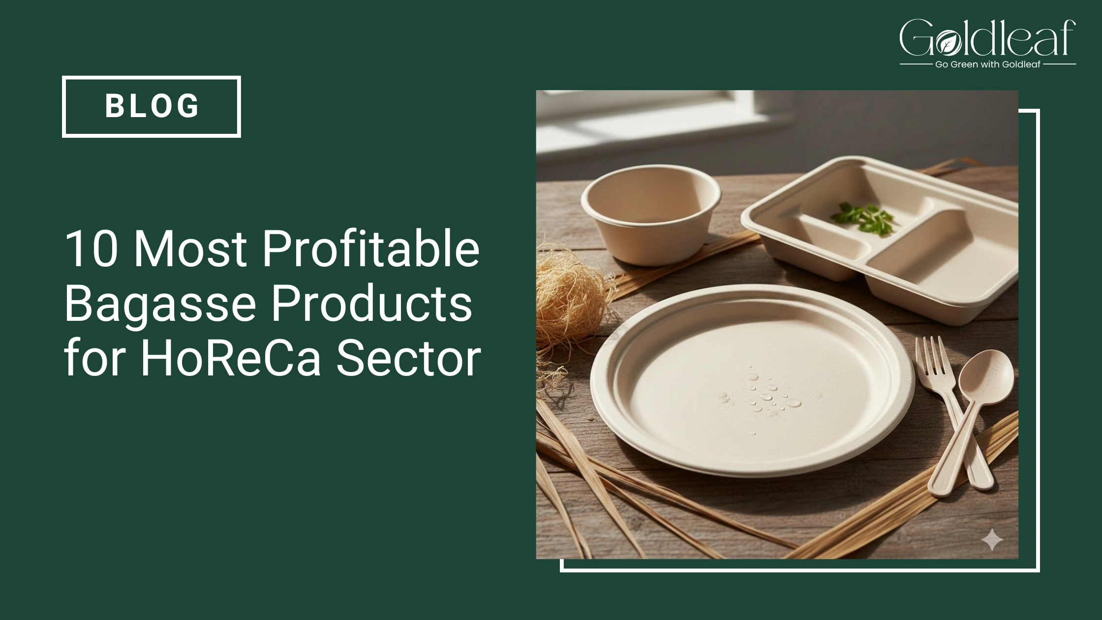 10 Most Profitable Bagasse Products for HoReCa Sector